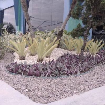 ADESAM - JARDIM - JULHO - 21 - DEPOIS - 004