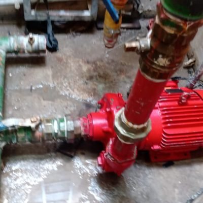 BOMBAS FRANCISCA DIV (19)